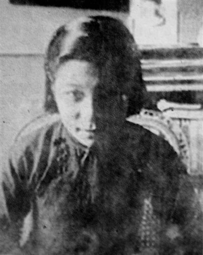 烈士白丁香