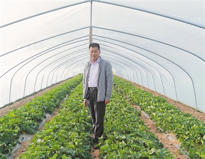 <p>　　曹辉在温棚内查看蔬菜长势。　　　　　　　　　　　　　　　　　　　　（图片由受访者提供）</p><p>　　
