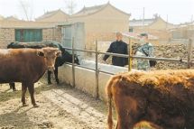 <p><p>　　同心县人武部驻村工作队干事走访贫困户，了解肉牛养殖情况。</p><p>　　